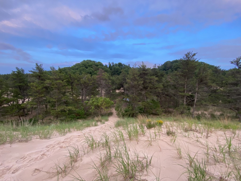 What Is a Wilderness Area?